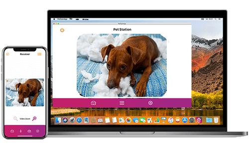 PetCam, PetCam app, PetCamApp, best dog monitor, pet camera