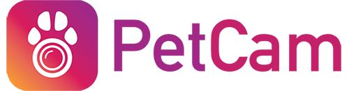 PetCam, PetCam app, PetCamApp, best dog monitor, pet camera