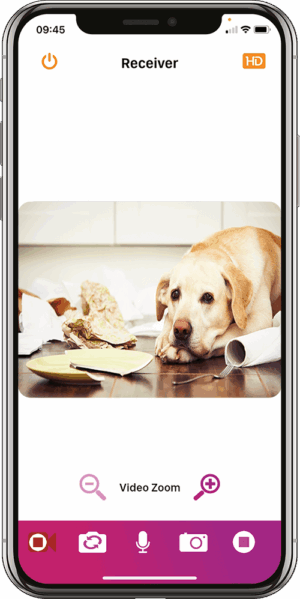 PetCam, PetCam app, PetCamApp, best dog monitor, pet camera