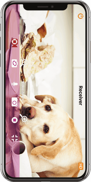 PetCam, PetCam app, PetCamApp, best dog monitor, pet camera