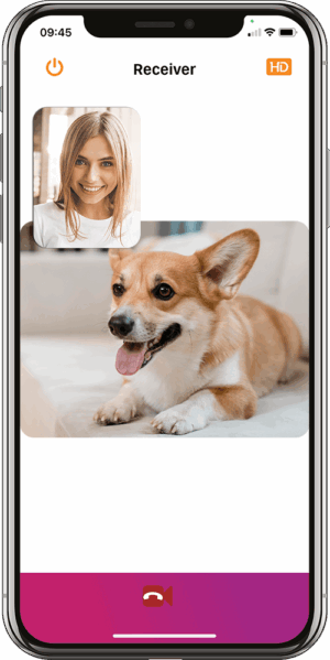 PetCam, PetCam app, PetCamApp, best dog monitor, pet camera