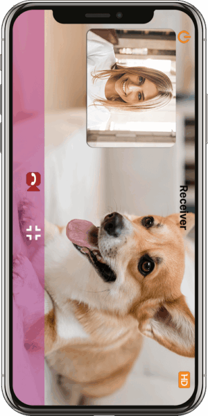 PetCam, PetCam app, PetCamApp, best dog monitor, pet camera